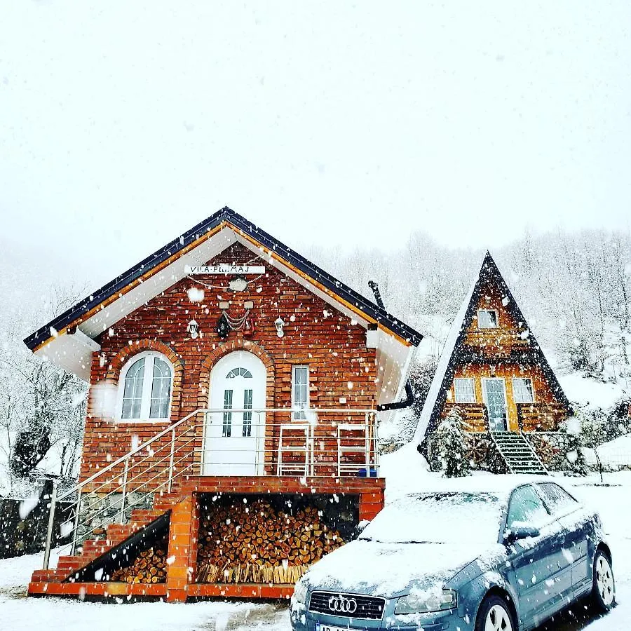 Vilat Pllumaj Gropat e Selces Lodge